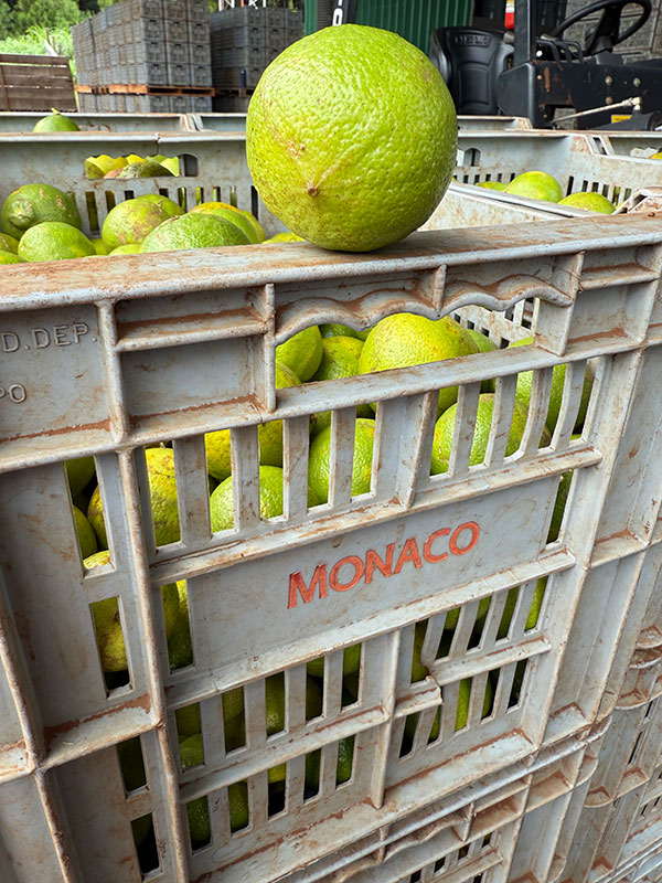 foto-historia foto-historia