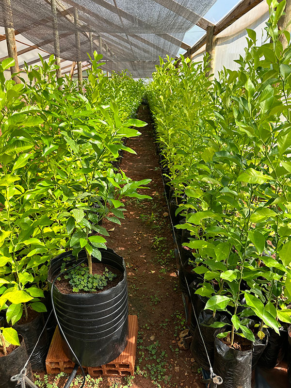 foto-origen-de-la-calidad