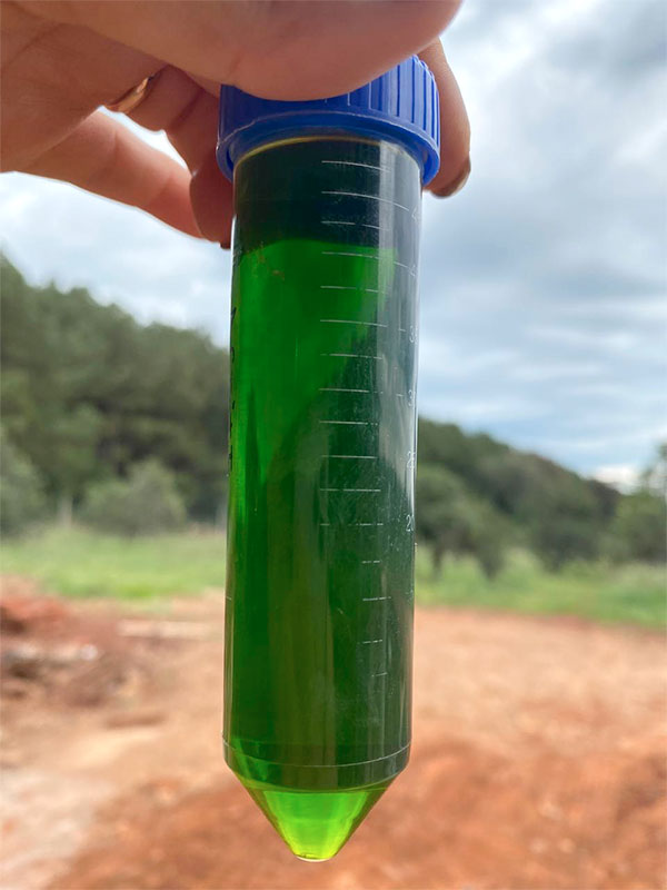 foto-usos-beneficios-ok2 foto-usos-beneficios-ok2